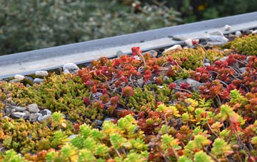 the cost of Quoyloo green roof installation