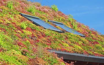 Quoyloo living roof systems
