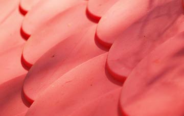 Quoyloo plastic roof costs