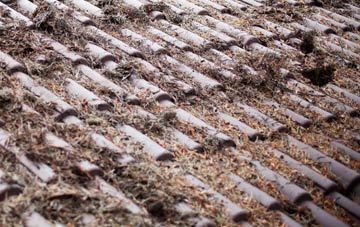 Quoyloo roof cleaning companies