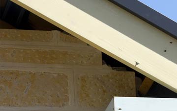 soffit repair Quoyloo