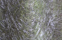 Quoyloo fibreglass roof work